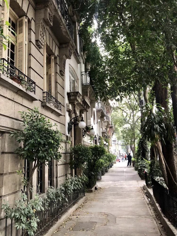 Entorno urbano y zonas de alta plusvalía en CDMX